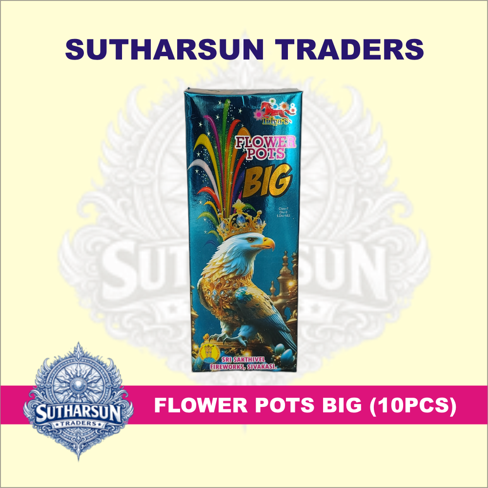 FLOWER POTS BIG (10 PCS )